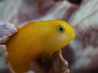 Description: IMG_2566 ycg