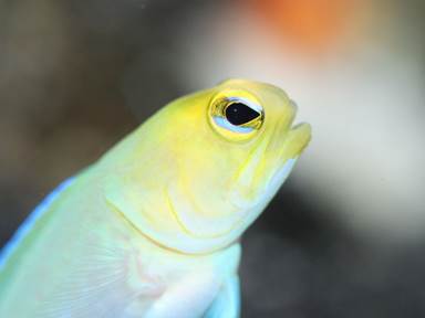 Description: IMG_2574 jf