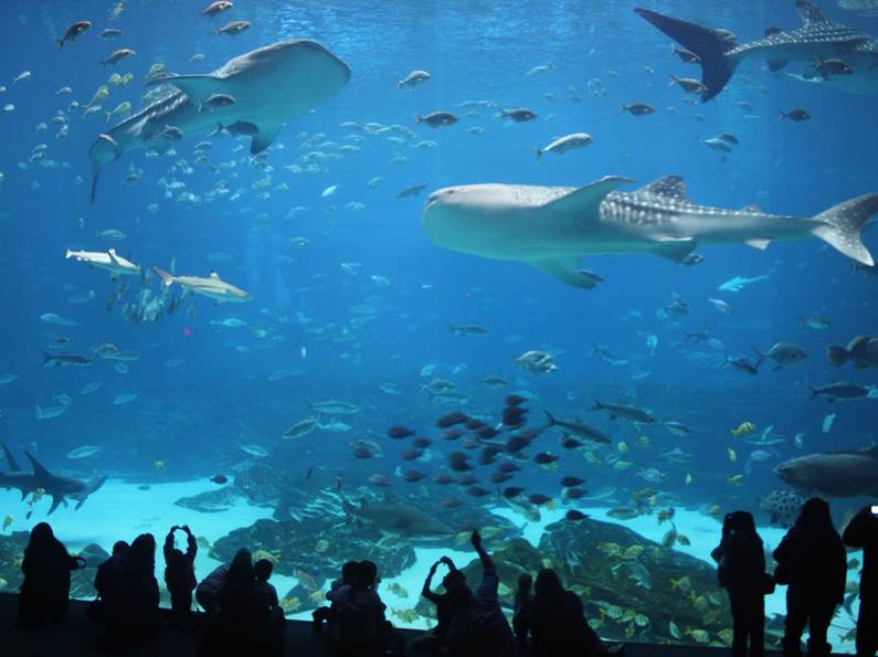 Description: Description: IMG_3106cb