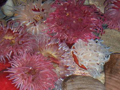 Description: Description: HPIM0928c