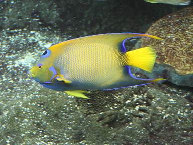 Description: Description: IMG_6737c