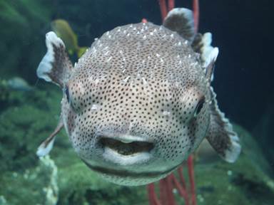 Description: Description: IMG_6710c