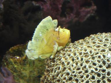 Description: Description: IMG_6797c