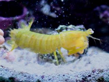 Description: C:\Users\mike\Documents\Transfer\20150509 PS Pictures\image003new.jpg