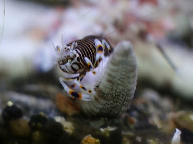 Description: Description: Description: IMG_2536 bbs