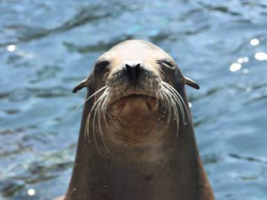 Description: IMG_4229ch