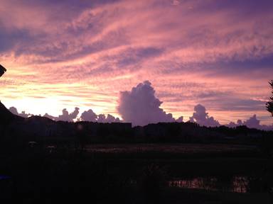 Description: IMG_0232ch